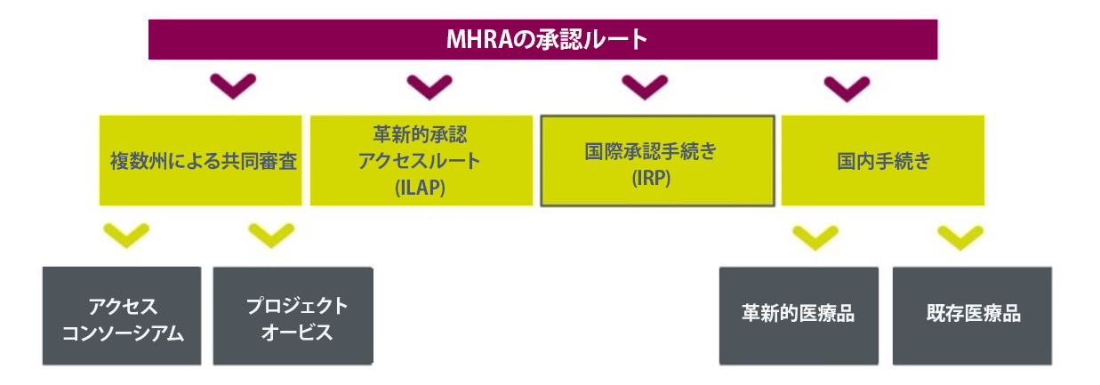 Figure 1. MHRA licensing routes_JP.png
